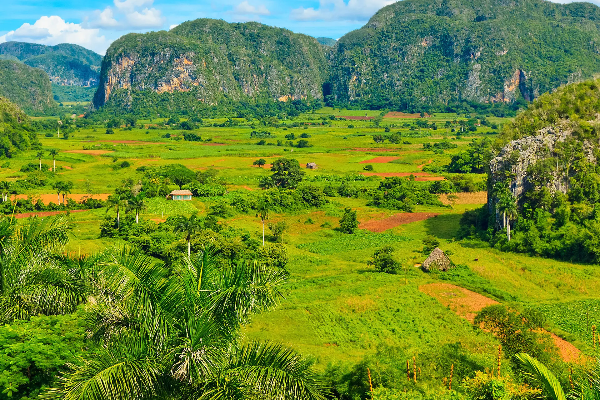Viñales Valley mogotes and tobacco fields